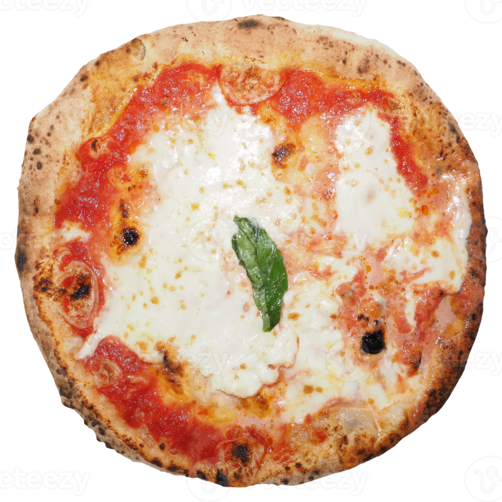 margherita pizza gebackenes essen transparent png