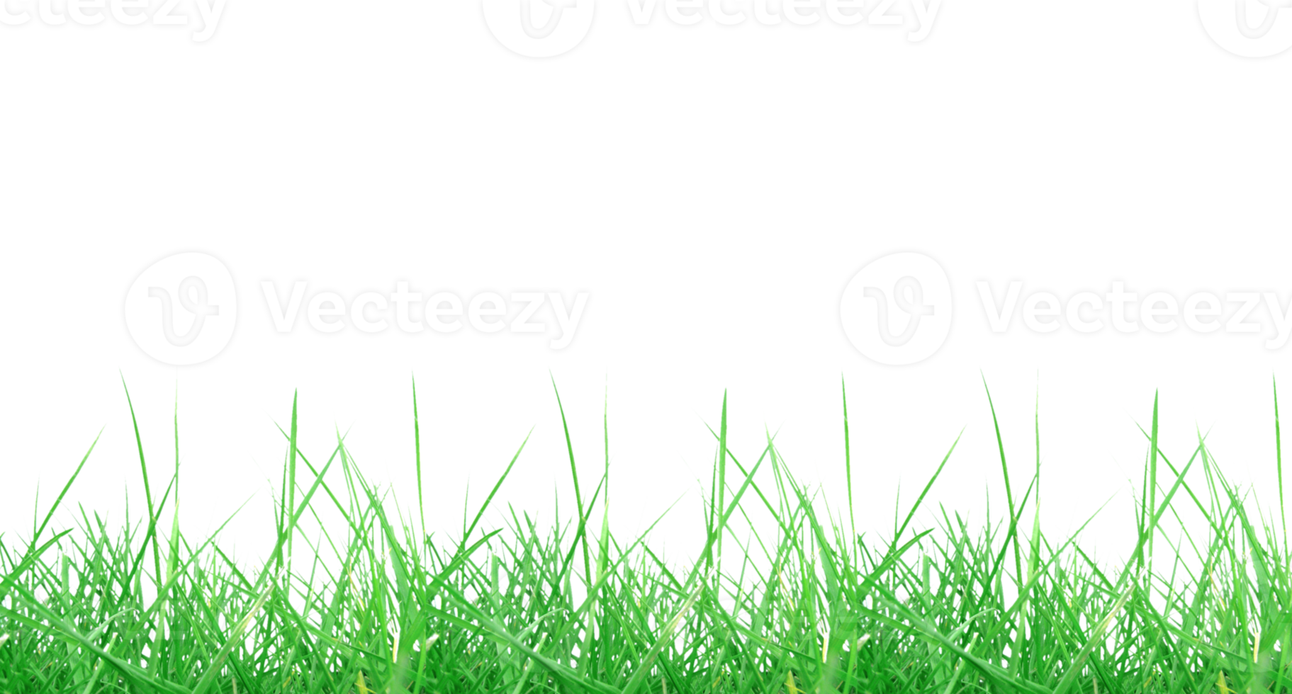 Gras transparentes Png