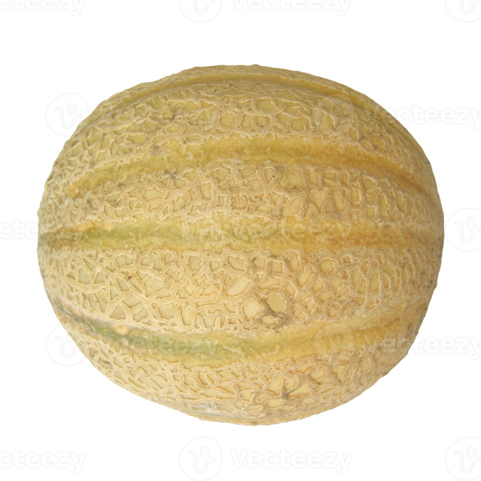 melon fruit transparent PNG