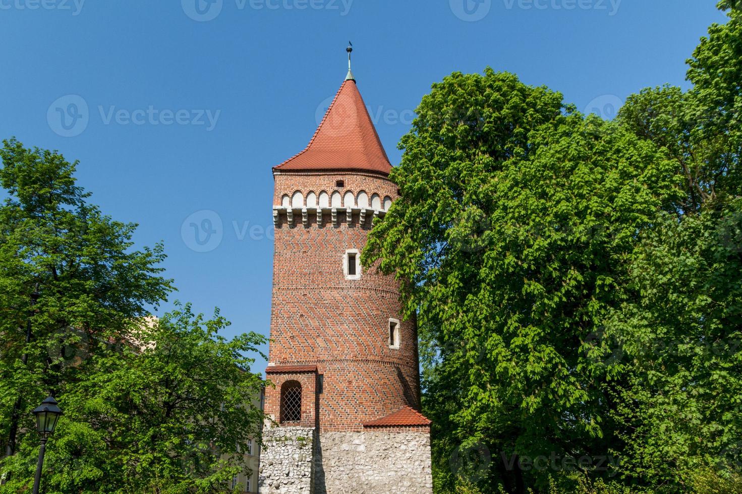 Royal castle in Wawel, Krakow photo