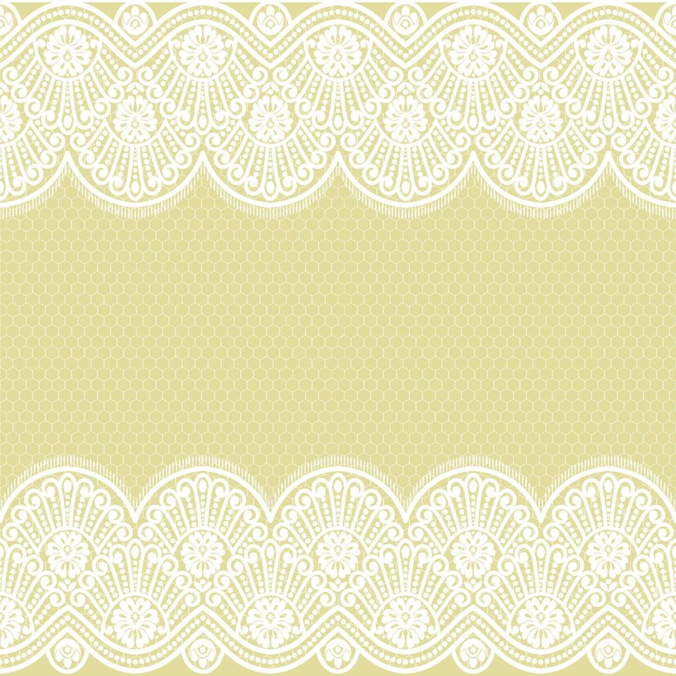 Seamless white floral lace pattern vector
