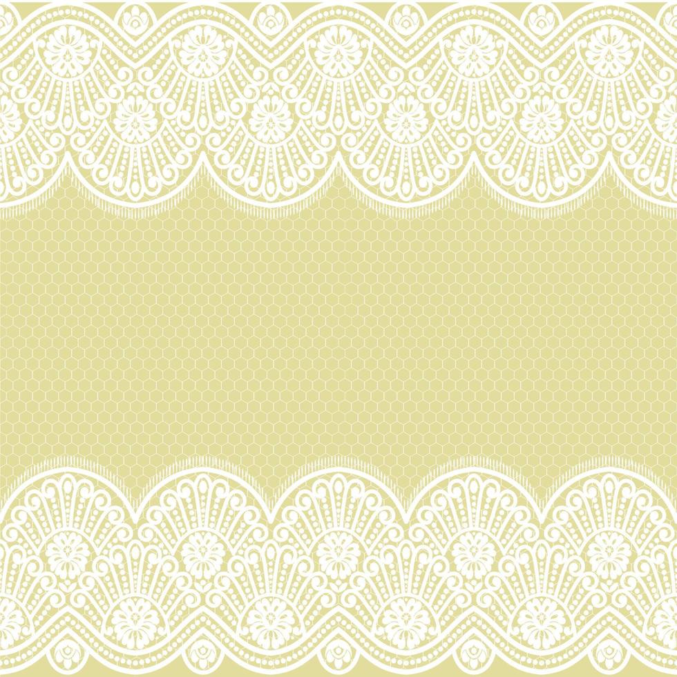 patrón de encaje floral blanco transparente vector