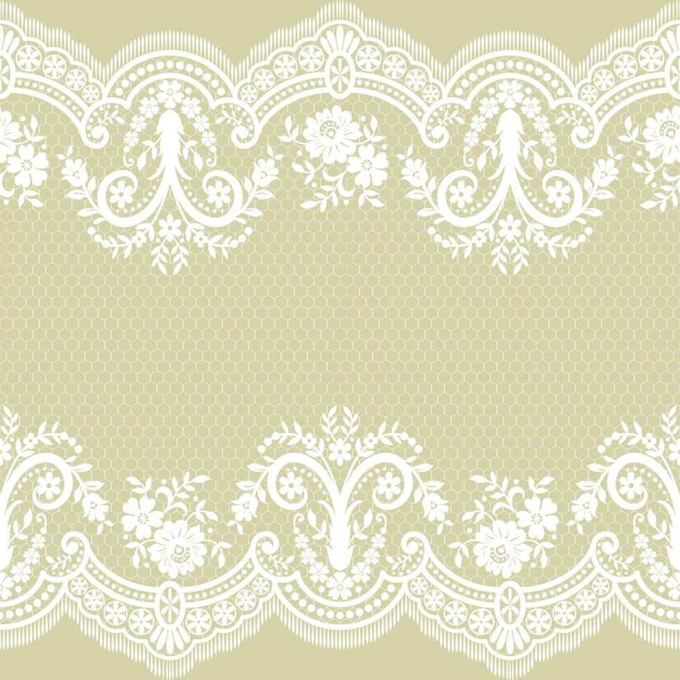 Seamless white floral lace pattern vector