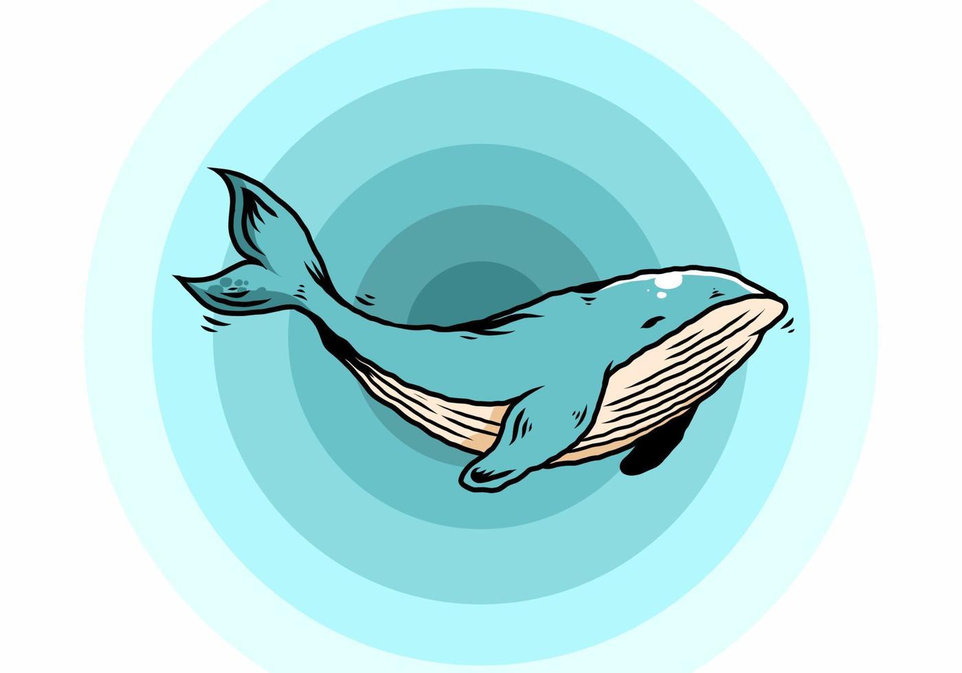 The big whale of ocean illustration vector
