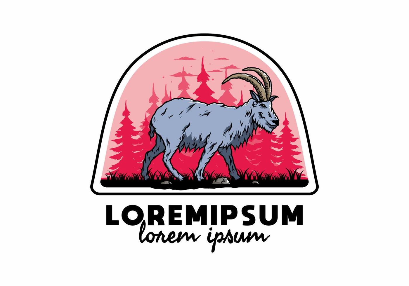 Hairy mountain goat with long horns vector