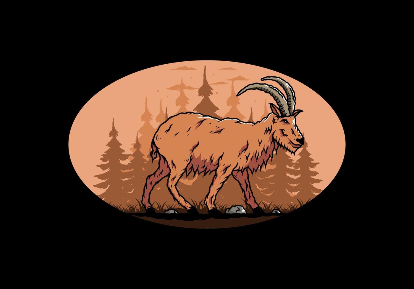 Hairy mountain goat with long horns vector