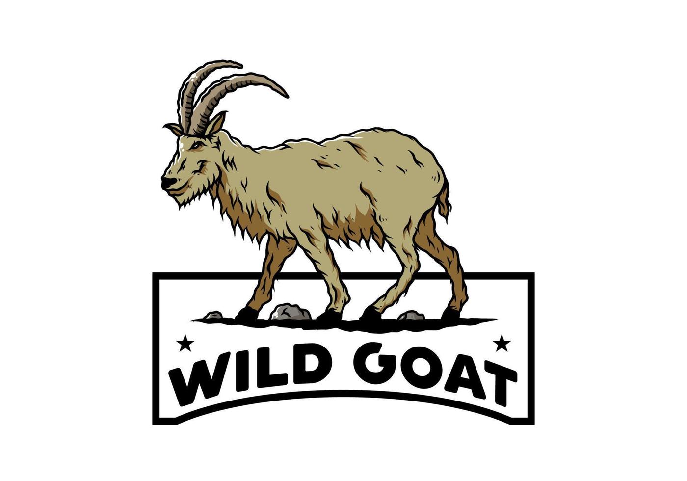 Hairy mountain goat with long horns vector