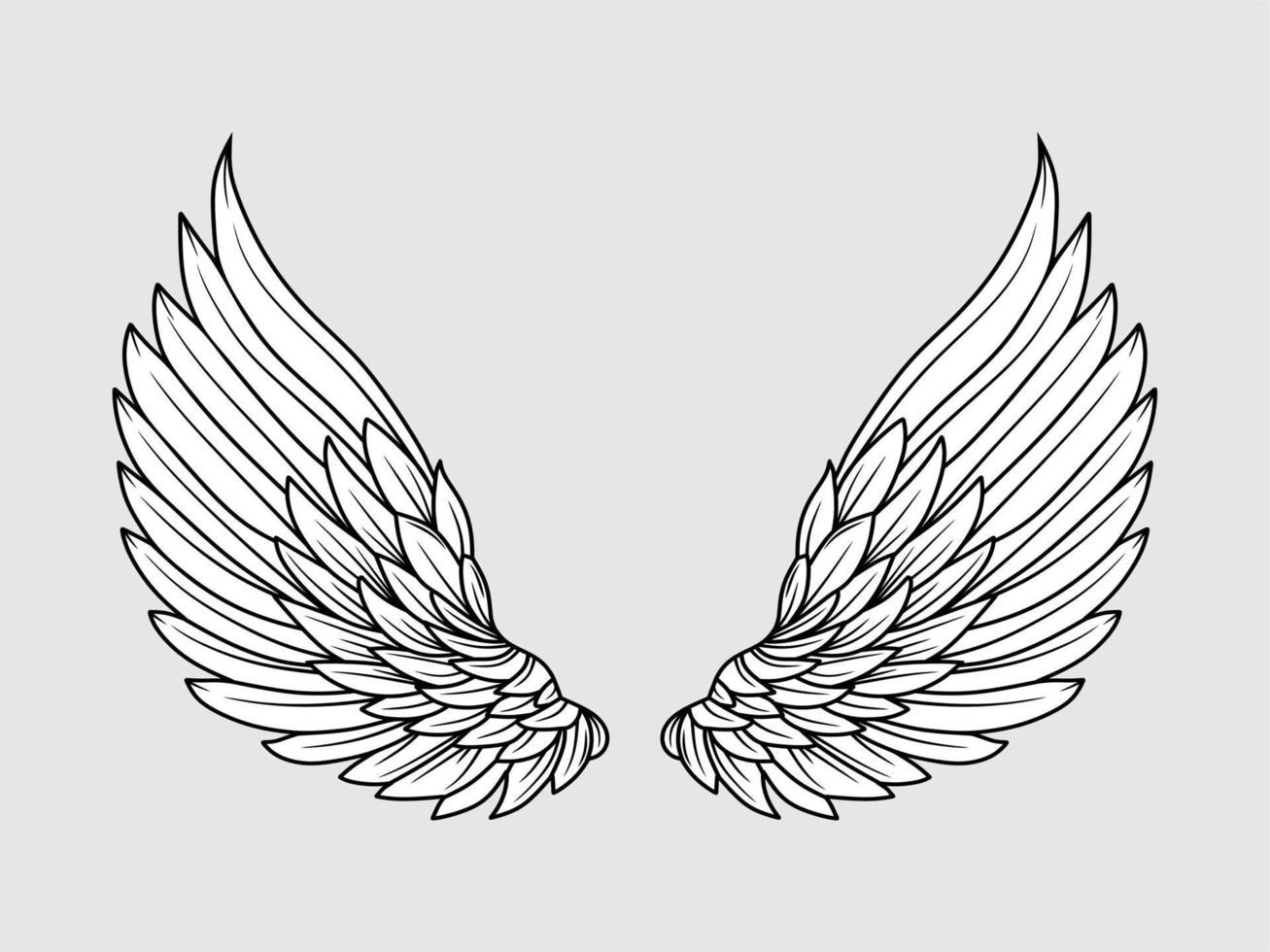 angel wings symbol vector illustration isolated on gray background