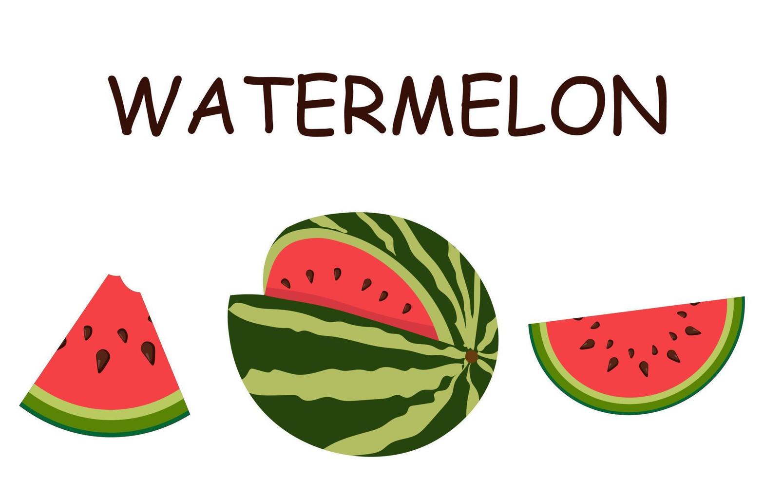 Set of vector illustrations of flat watermelon. Whole watermelon, cut watermelon, watermelon slices