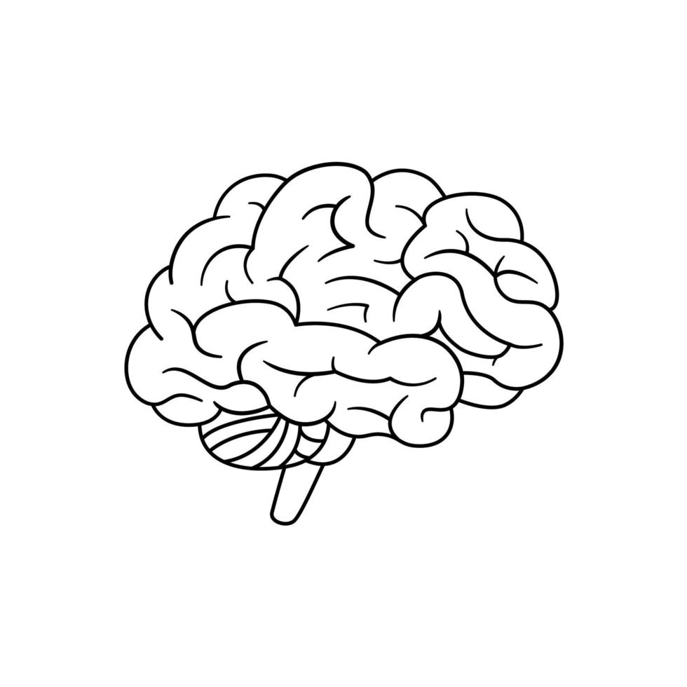 vector de icono de cerebro humano aislado