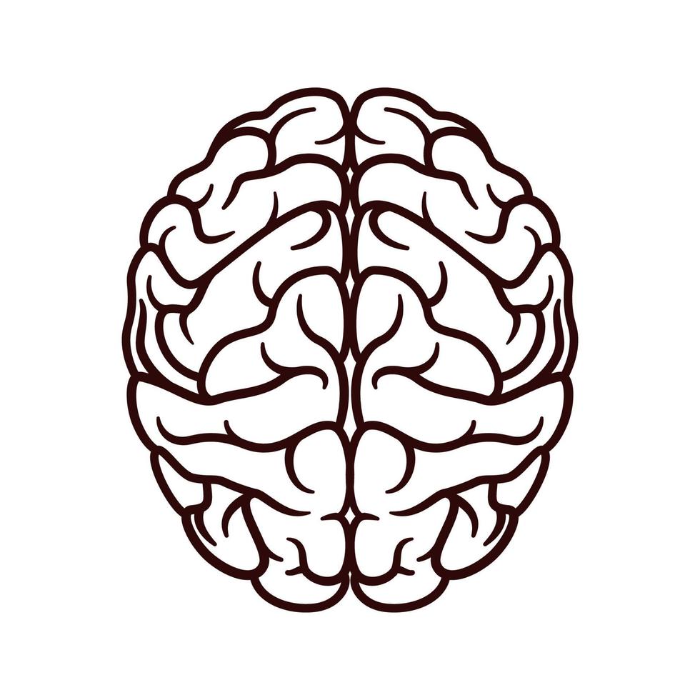 vector de icono de cerebro humano aislado