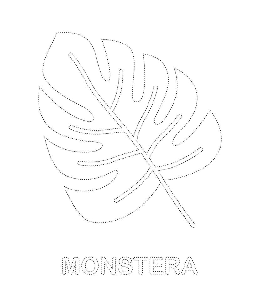 Monstera tracing worksheet for kids vector