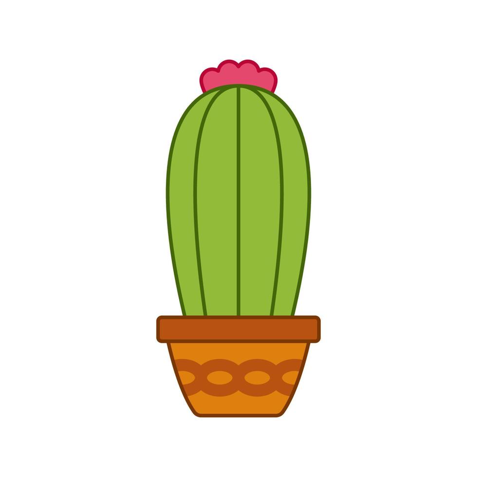 Cactus isolated on white background vector