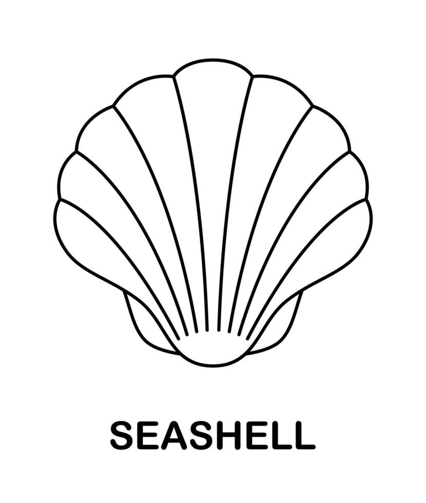 Coloring page with Seashell for kids vector