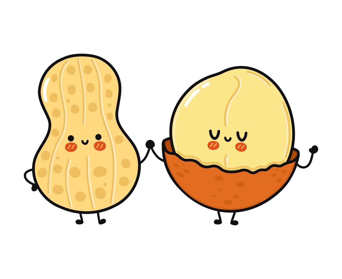 Cute, funny happy peanut and macadamia character vector