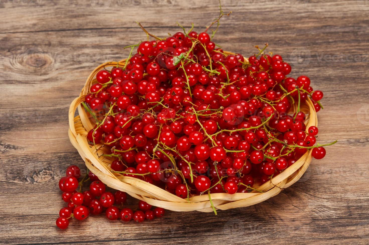 Sweet tasty fresh Red currant photo