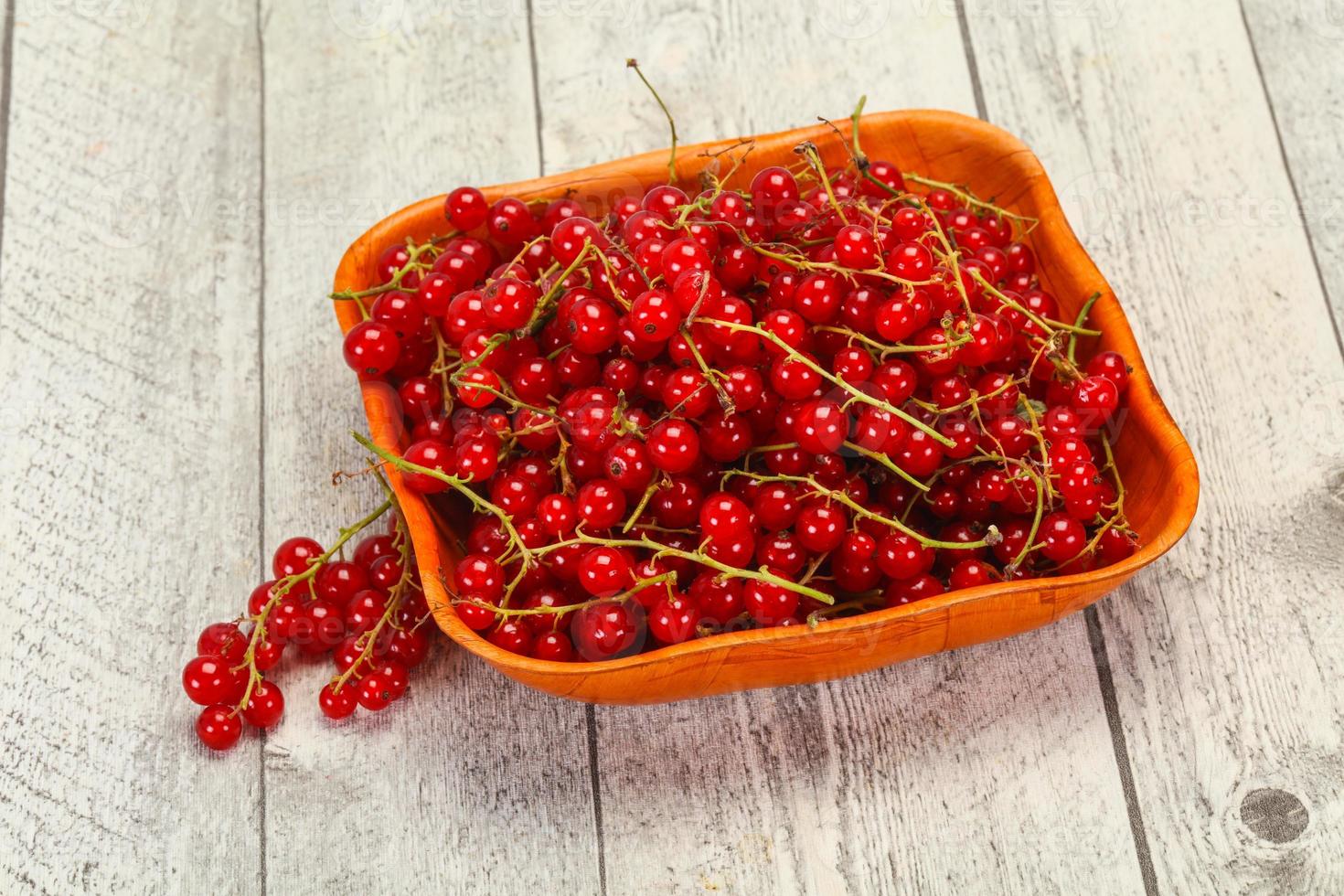 Sweet tasty fresh Red currant photo