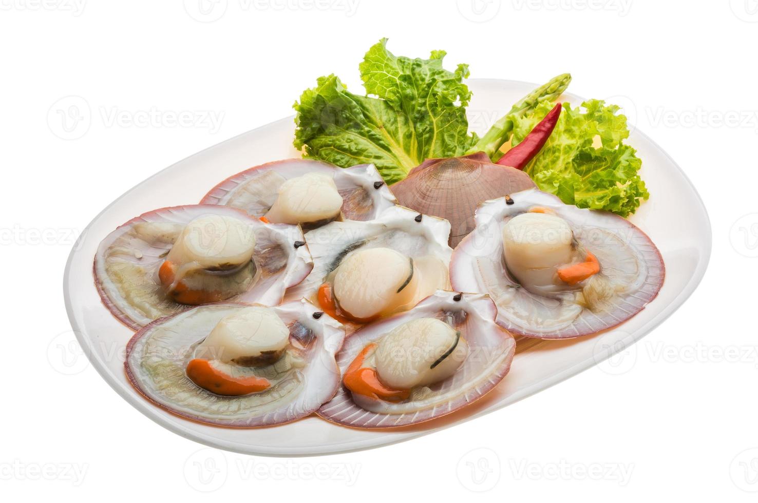 Raw fresh scallop photo