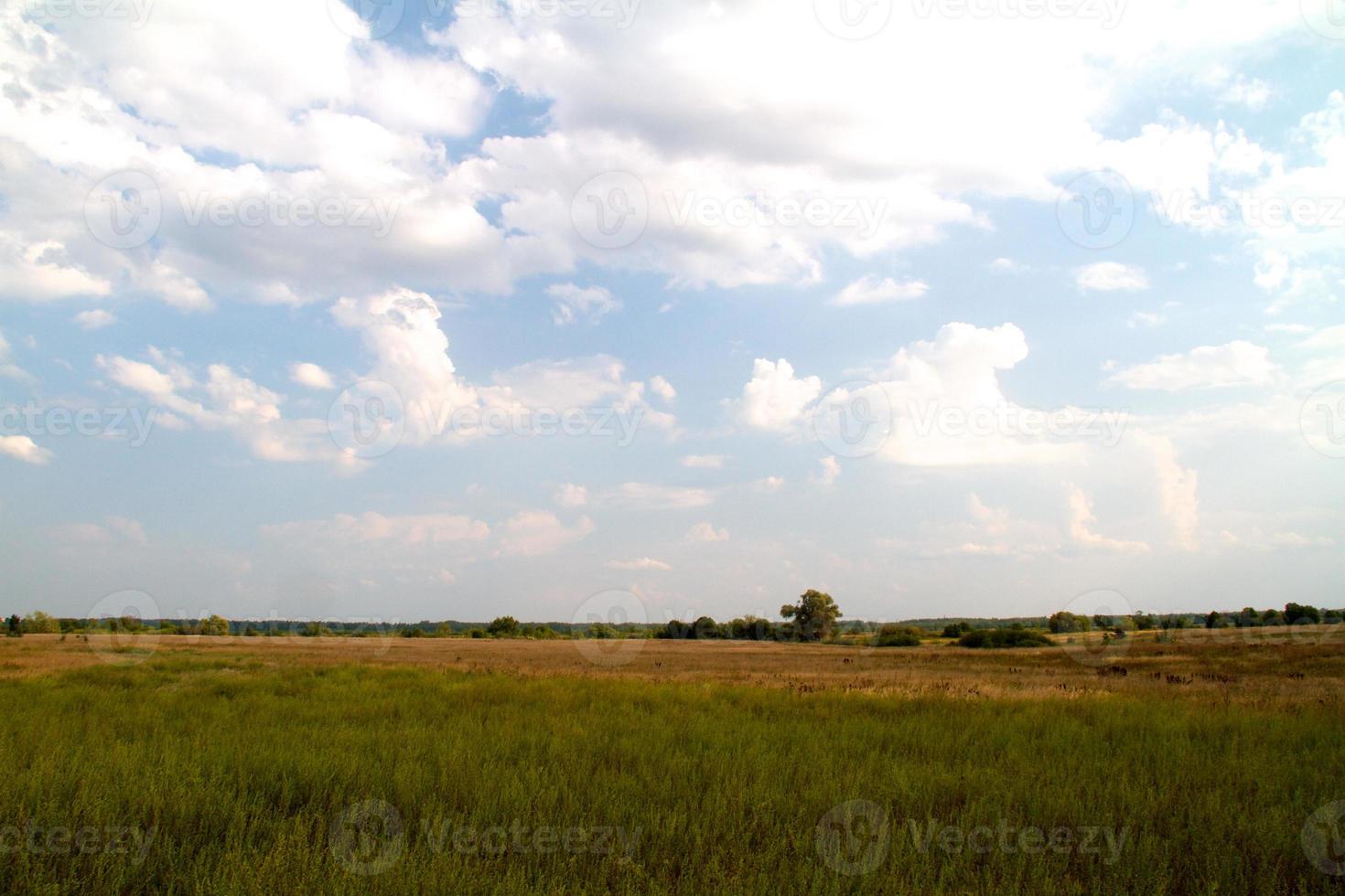 grass valley in forest during summer photo