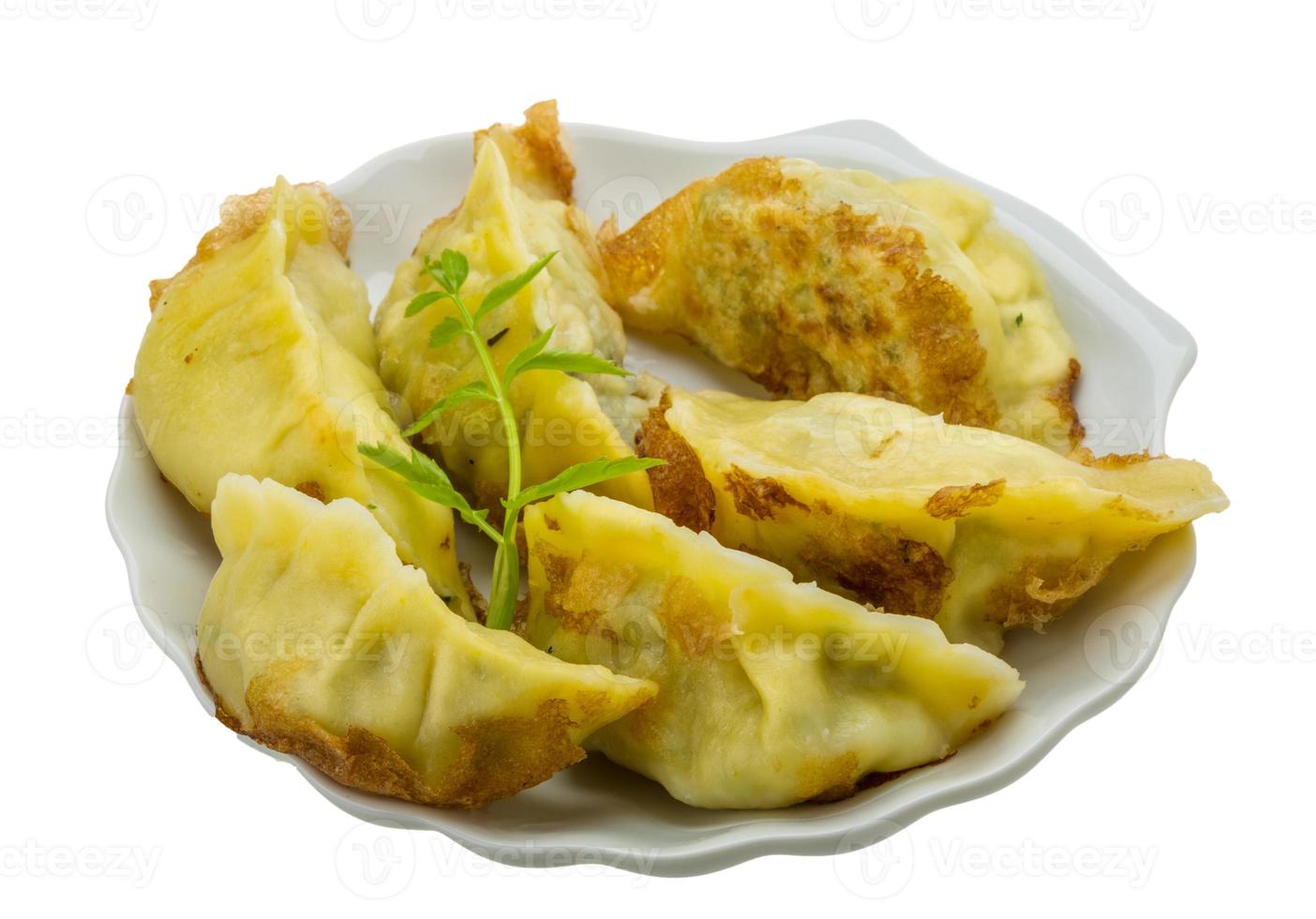 Japan dumplings - gyoza photo