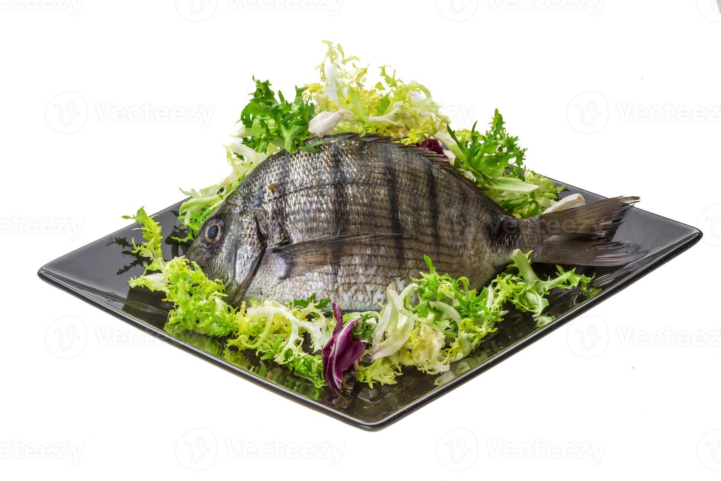 Raw Tilapia on white photo