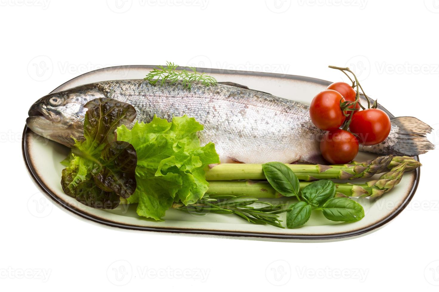 Fresh raw rainbow trout photo