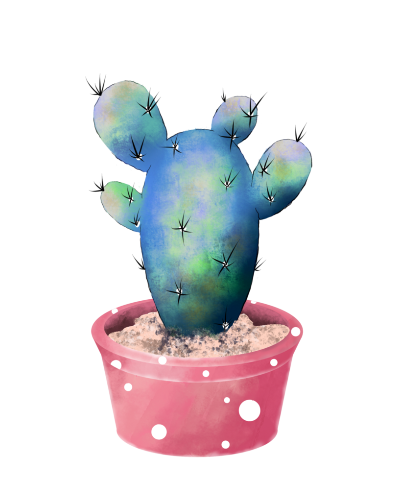 cactus acuarela en maceta png