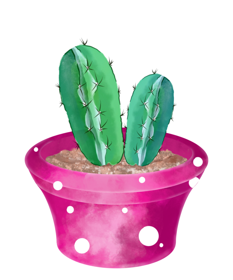 cactus acuarela en maceta png