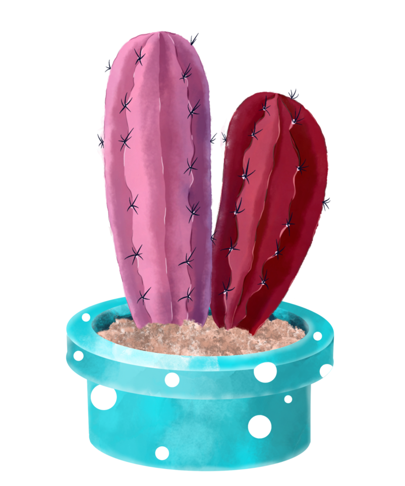 cactus acuarela en maceta png