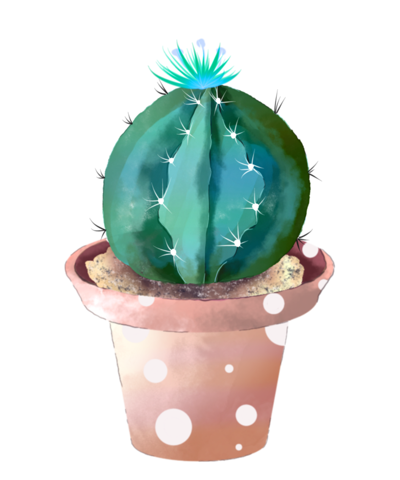 Watercolor Cactus in Pot png