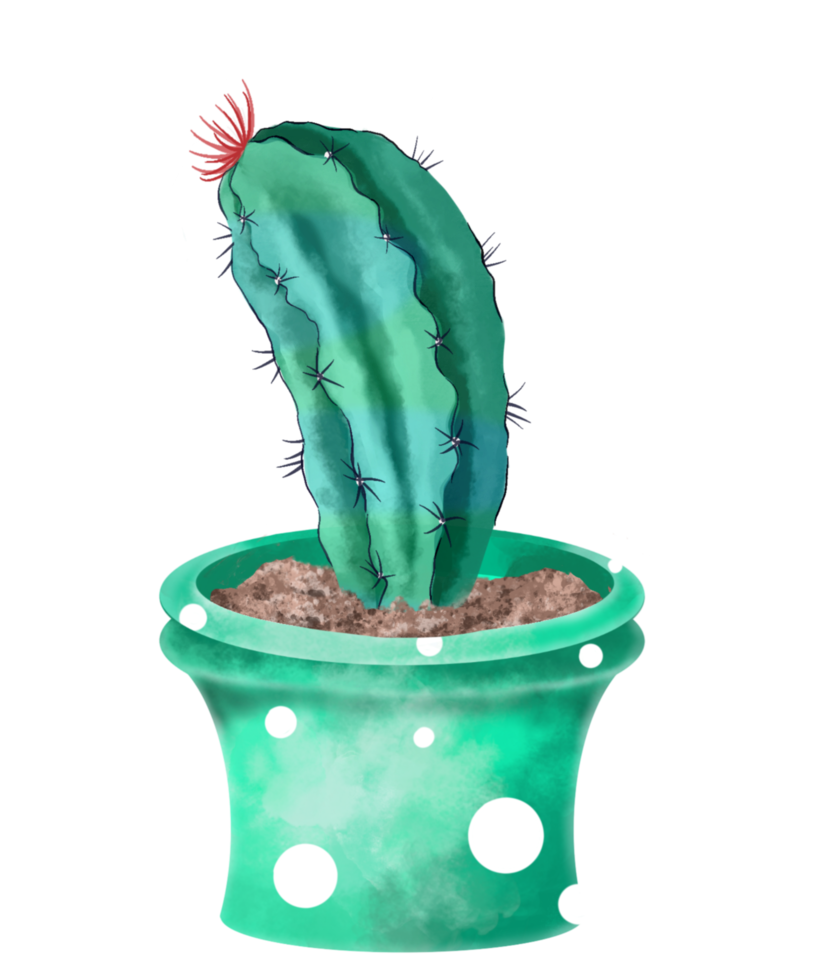 Watercolor Cactus in Pot png