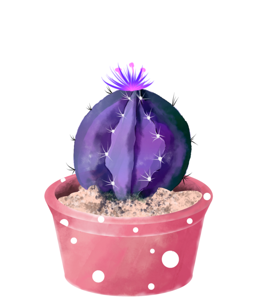 cactus acuarela en maceta png