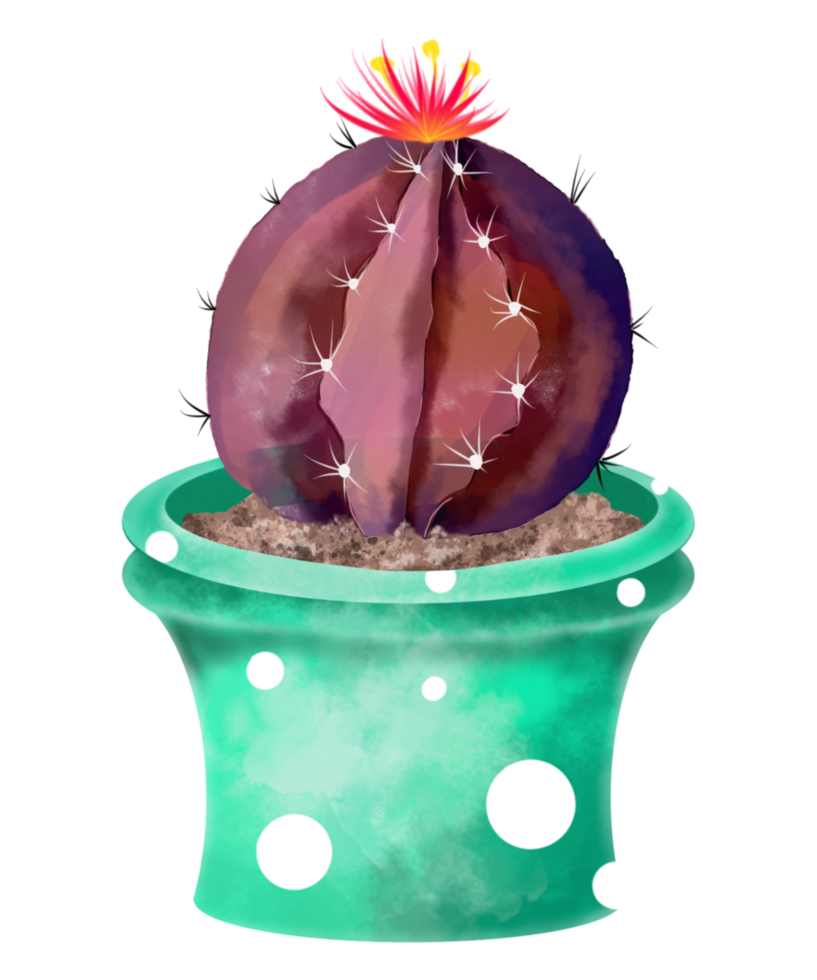 cactus acuarela en maceta png