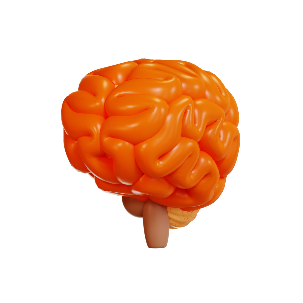 Gehirn Symbol Bildung 3D-Darstellung png