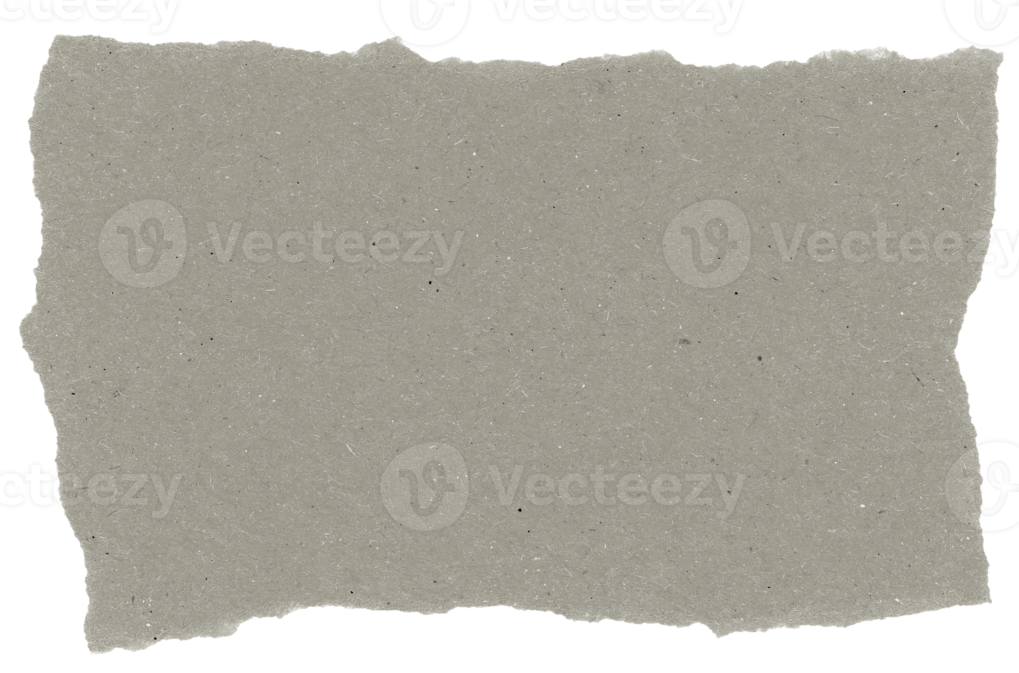 gray blank paper parchment label transparent PNG
