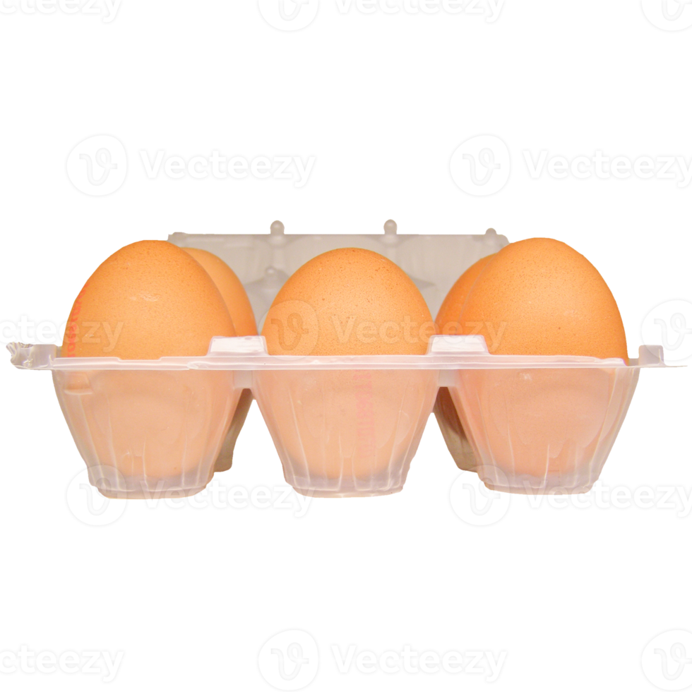 egg carton transparent PNG