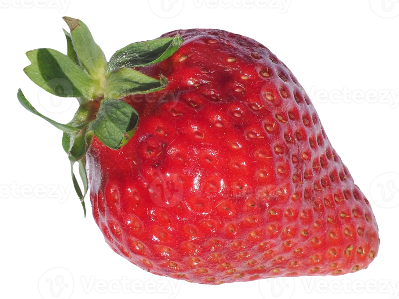 fresa fruta png transparente