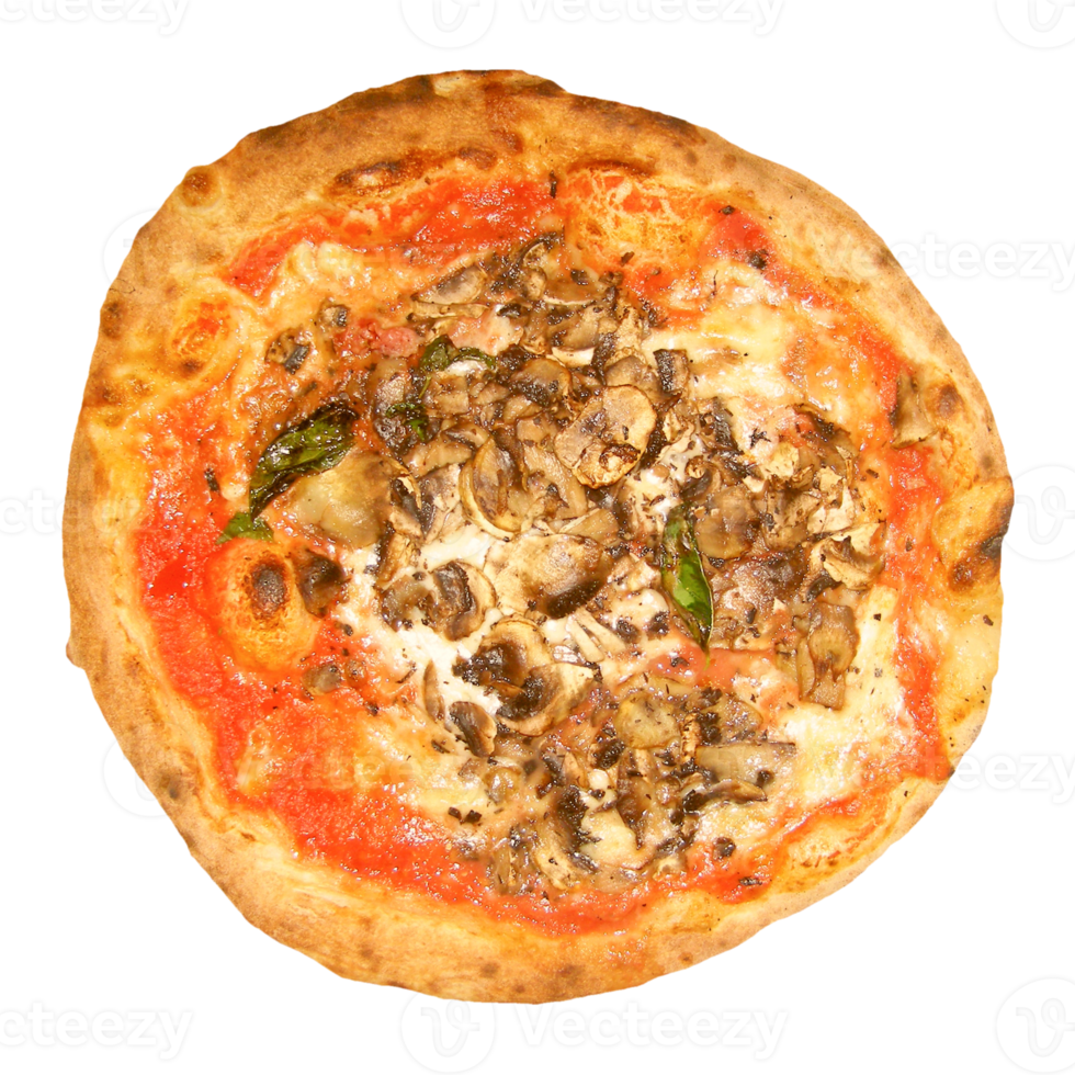 pizza ai funghi png trasparente