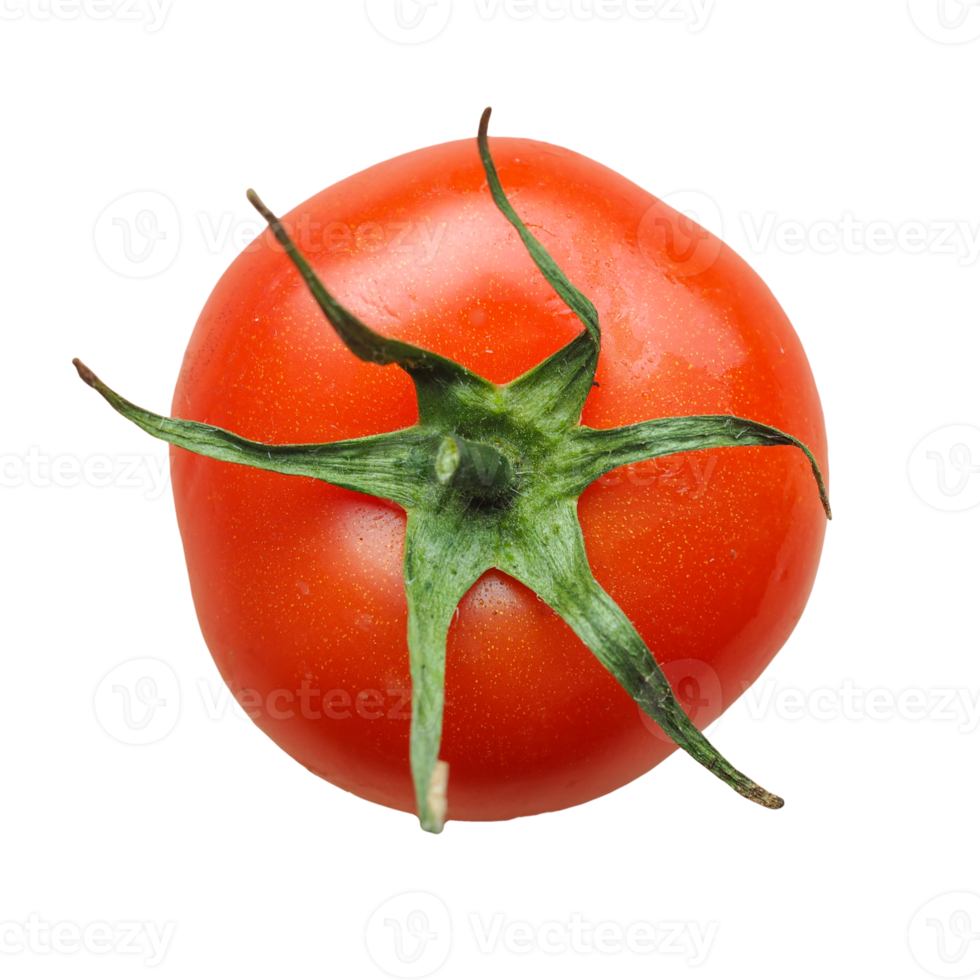 Tomatengemüse transparentes Png