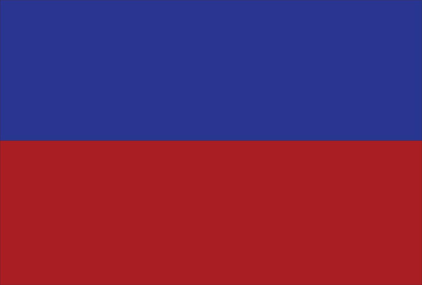 russian flag square vector