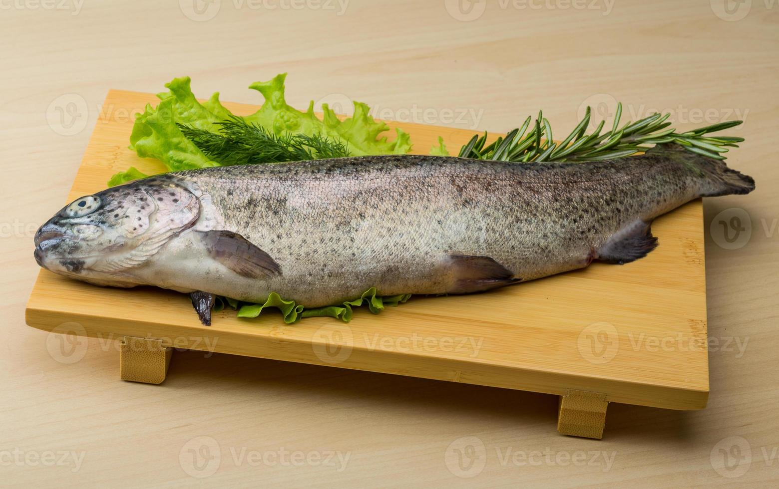 Raw fresh trout photo