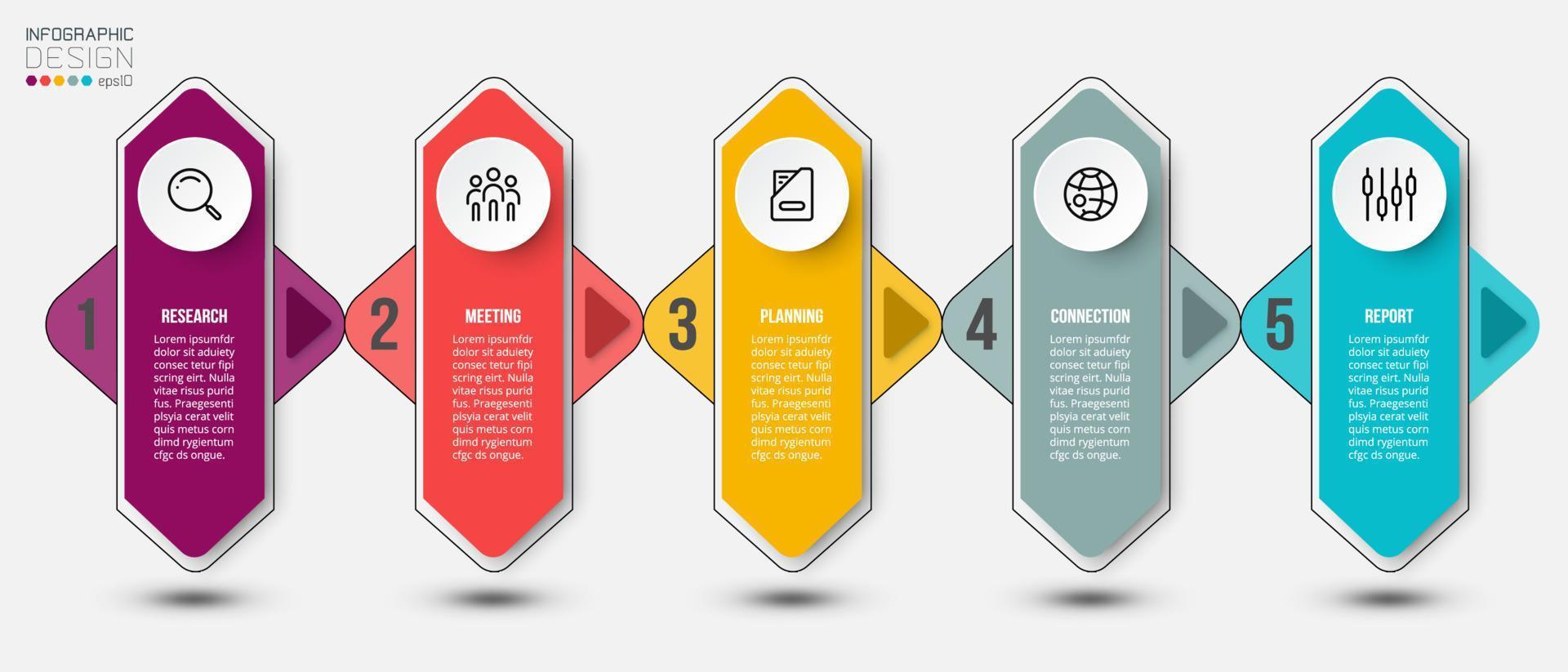 Timeline chart business infographic template. vector