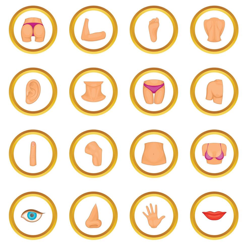 Body parts icons circle vector