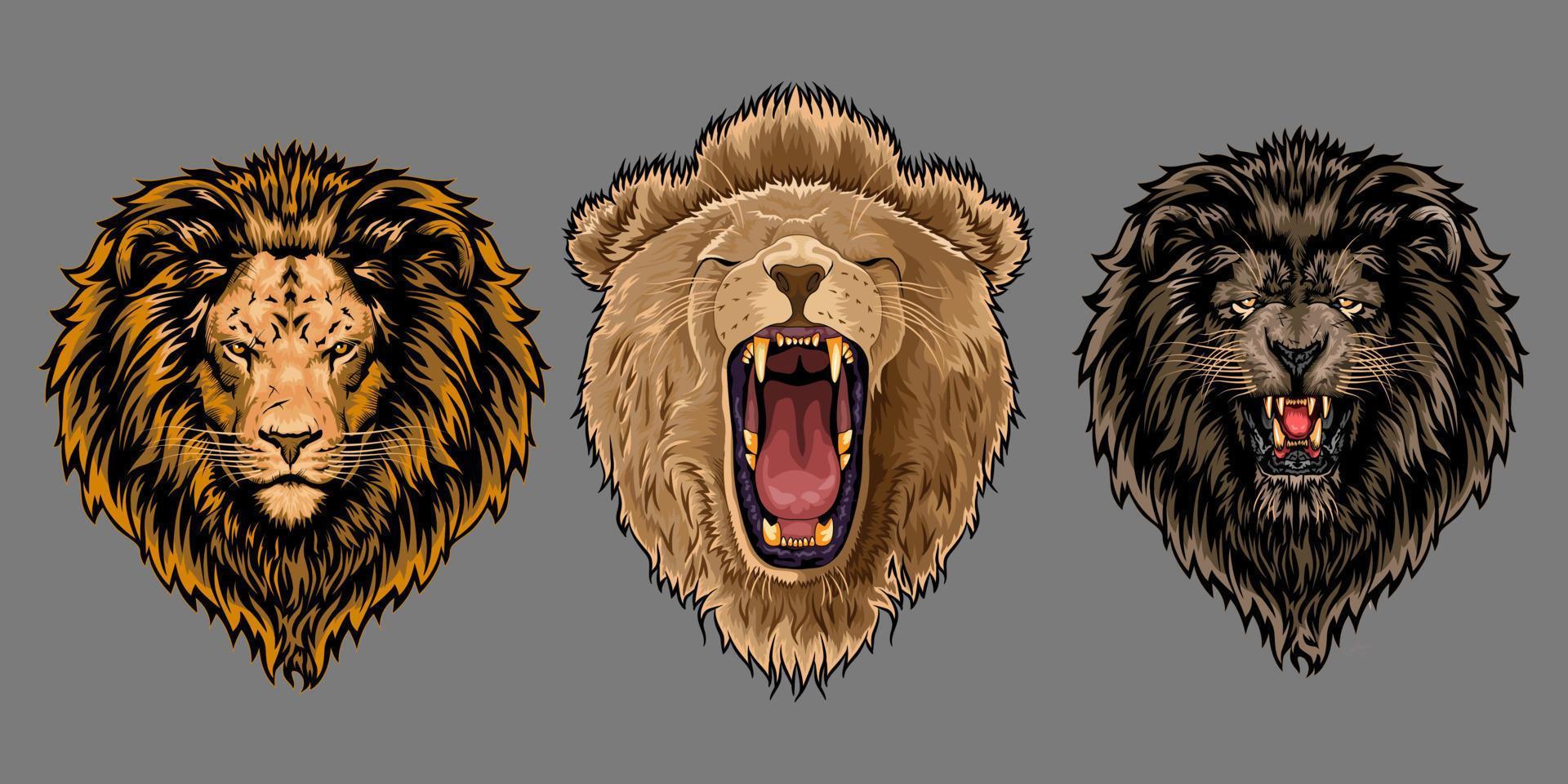 Lion face vector set collection