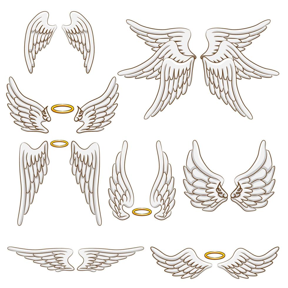 ala de ángel vector set diseño gráfico