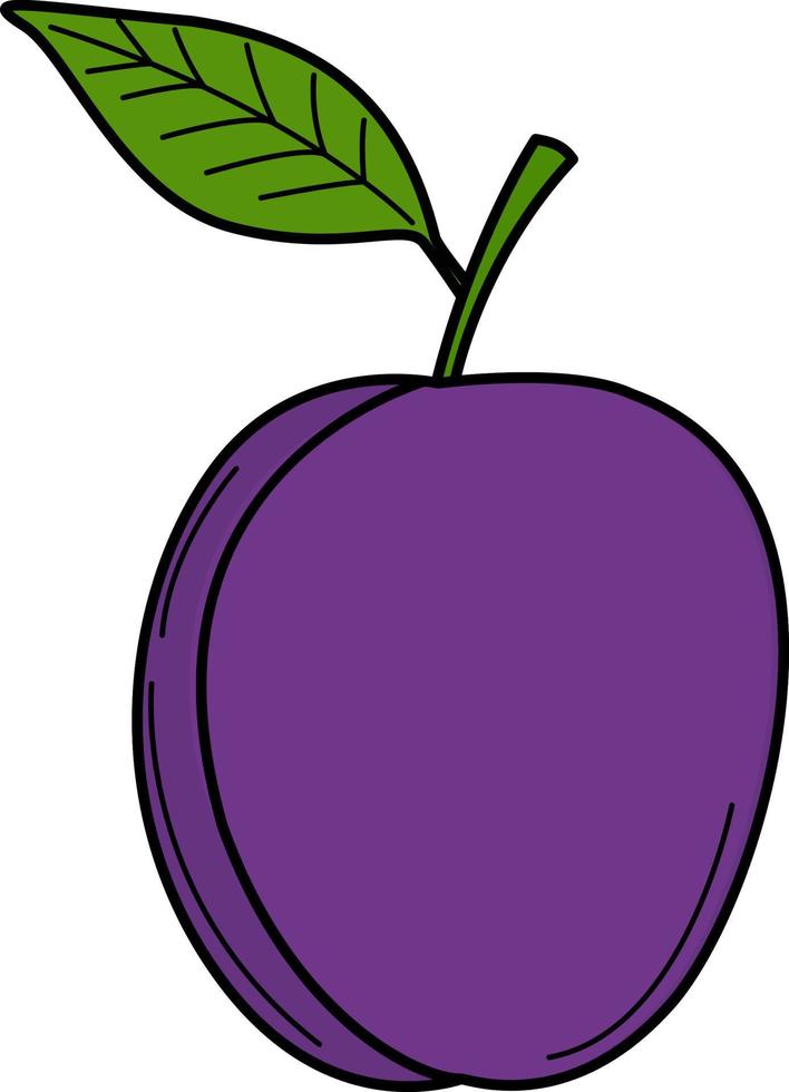 ilustración vectorial de un ciruelo. ciruela azul. elementos de diseño, publicidad y portadas, libros para niños, ilustraciones de alimentos y alimentos, logotipo, icono. vector de frutas, hojas de plantas de jardín. nutrición dietética