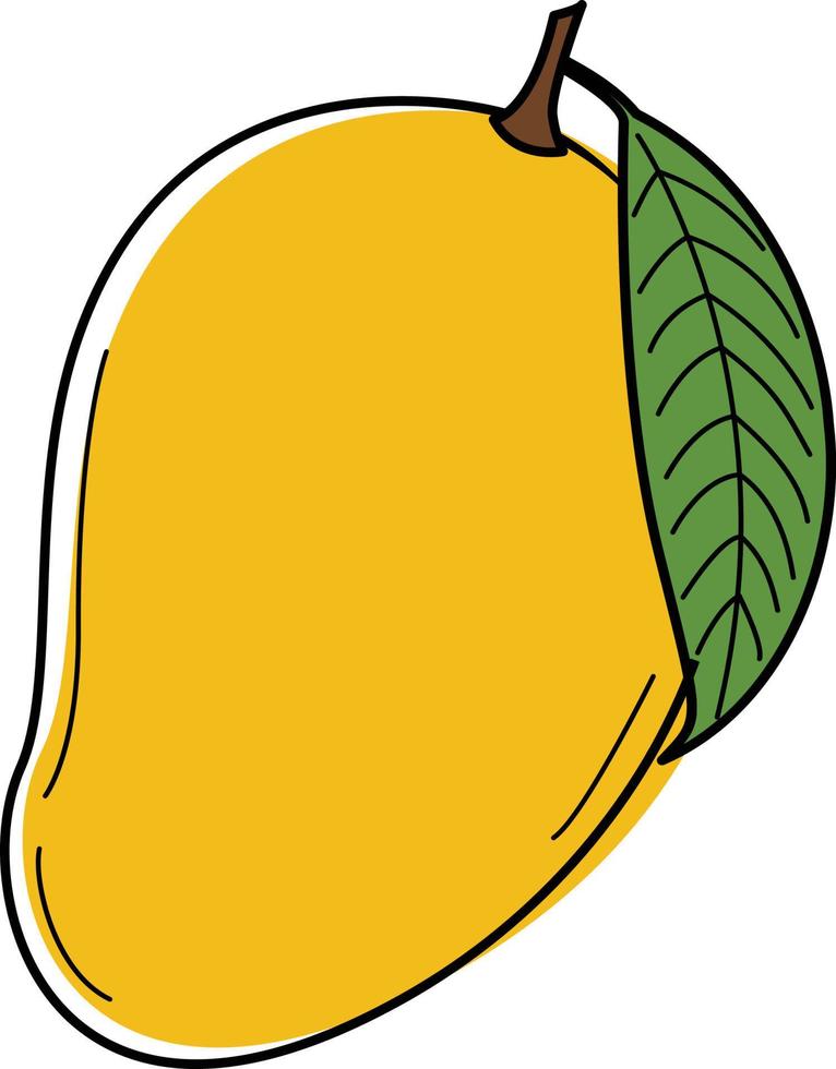 Vector illustration of sweet mango.Mango illustration used for magazines, books, food applications, posters, menu covers, web pages, advertising, marketing, icon, logo.