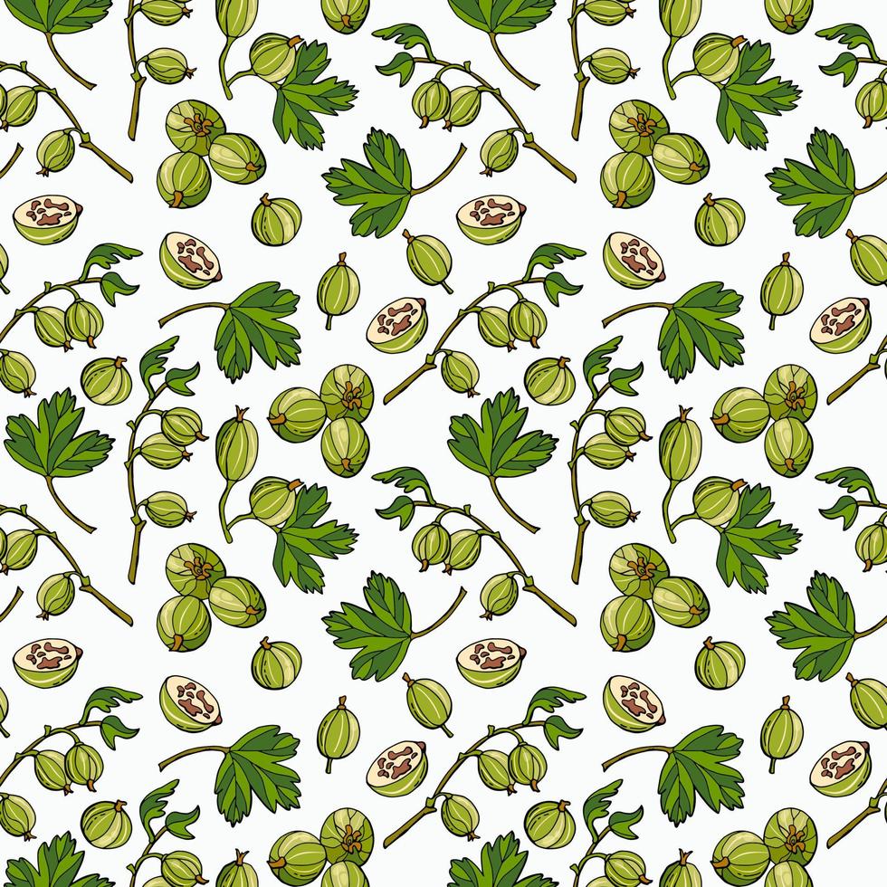 Gooseberry berry seamless pattern. Hand-drawn style. vector