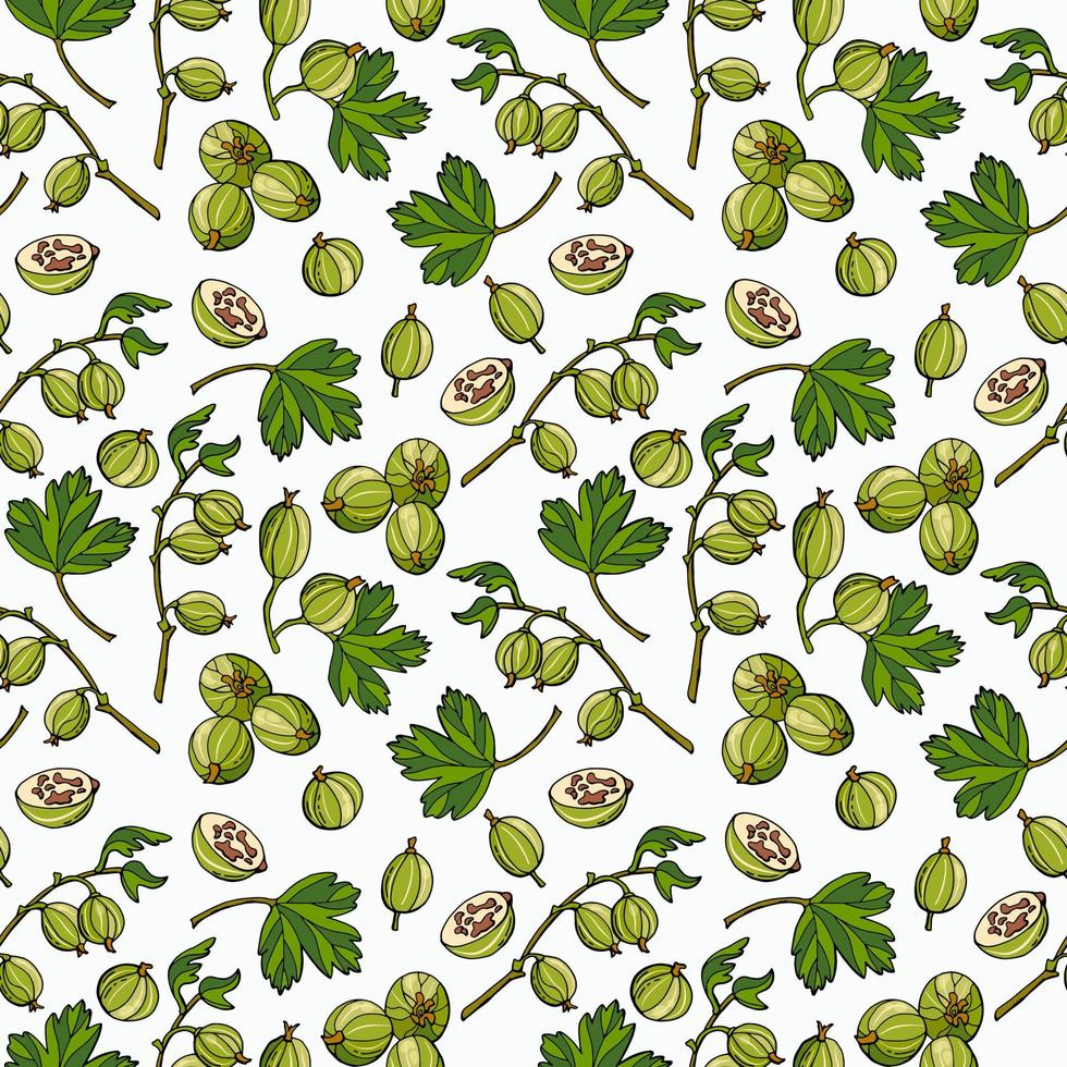 Gooseberry berry seamless pattern. Hand-drawn style. vector