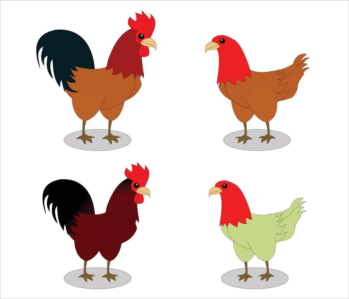 Rooster and Hen Cartoon Vector Illustration